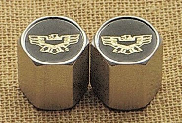 MOTO CAPS - GOLD WING